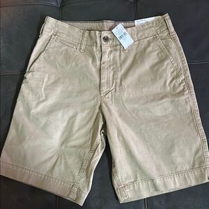 American Eagle Outfitters Tan Flat Front Shorts